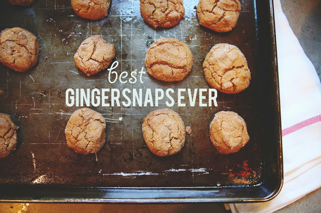 best gingersnaps EVER.