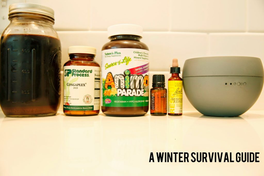 winter survival guide.