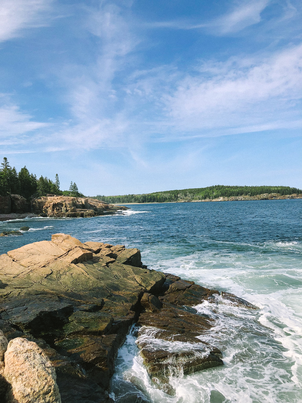 camping in Acadia. - Tales of Me and the Husband